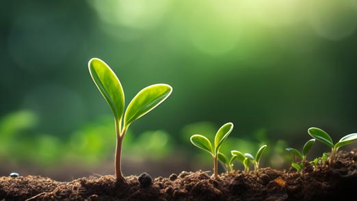 Faith Growing Messages